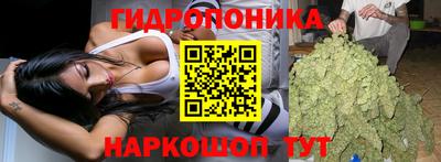 таблы Будённовск