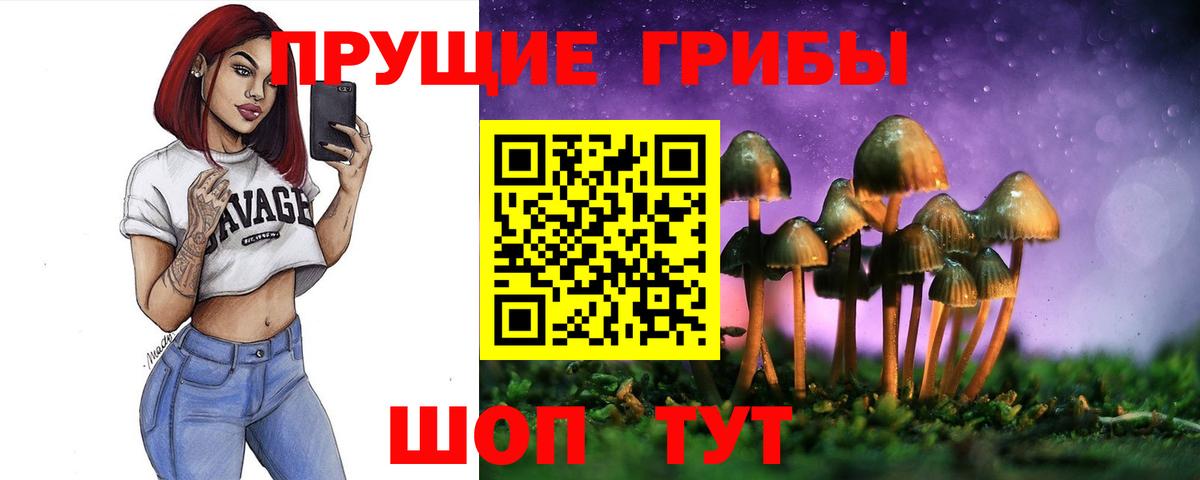 Галлюциногенные грибы GOLDEN TEACHER  Вход с VPN  Псилоцибиновые грибы GOLDEN TEACHER  как найти закладки  Шали 